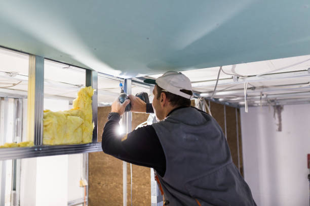 Best Eco-Friendly Insulation in Heber, CA