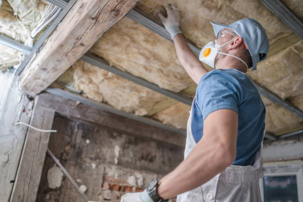 Best Insulation Maintenance and Repair in Heber, CA